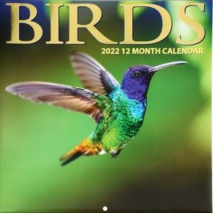 NEW 2022 Birds Calendar FREE SHIPPING